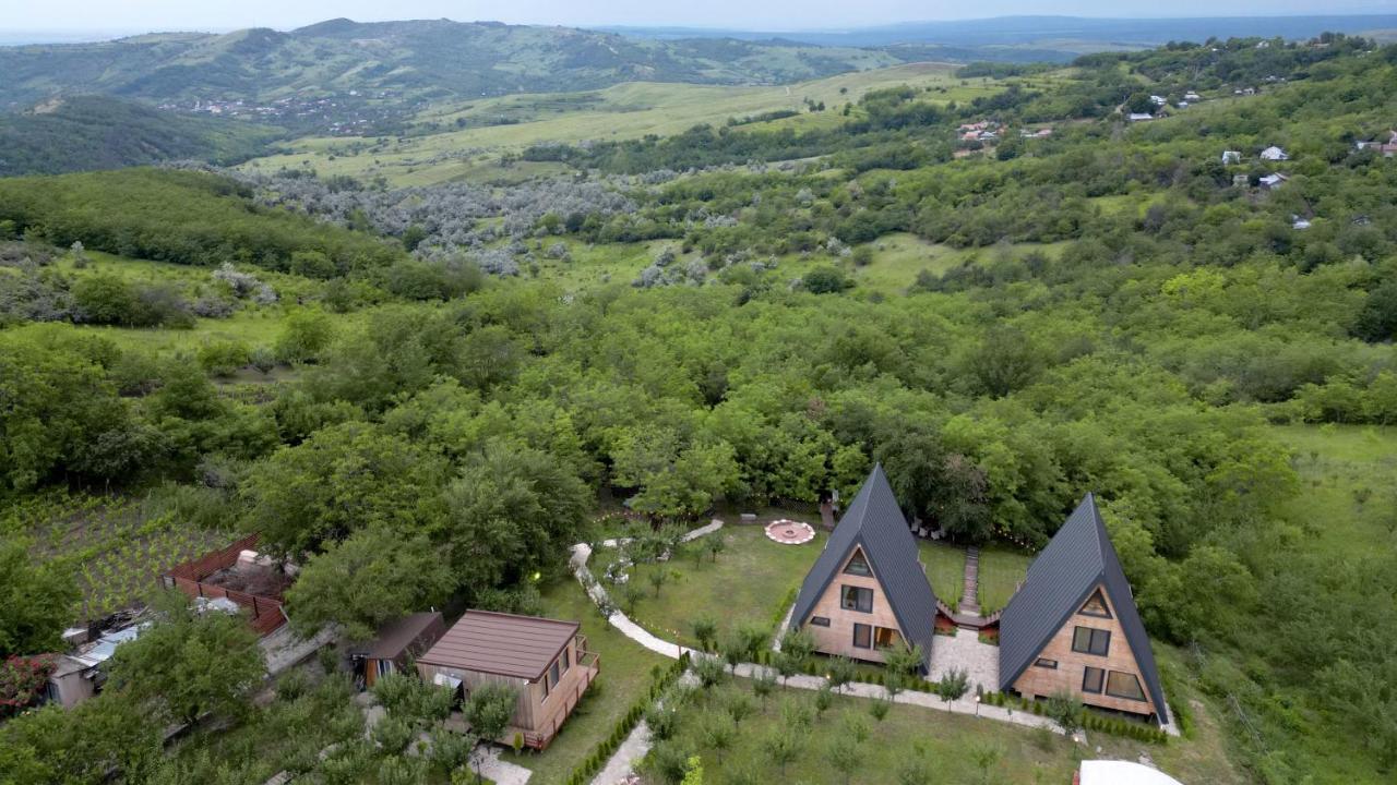 Arta Chalet Ceptura de Jos Exteriér fotografie